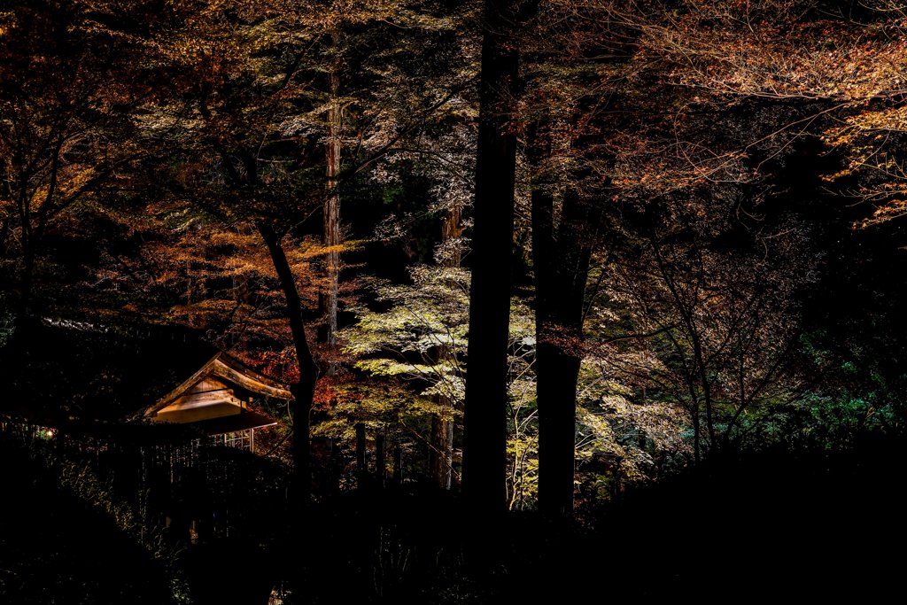 大興禅寺２０１８その２