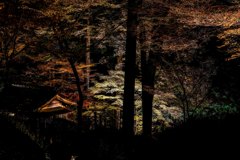 大興禅寺２０１８その２