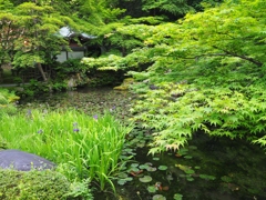 京都 南禅寺境内　１