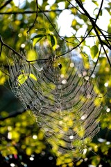 九大の森　５