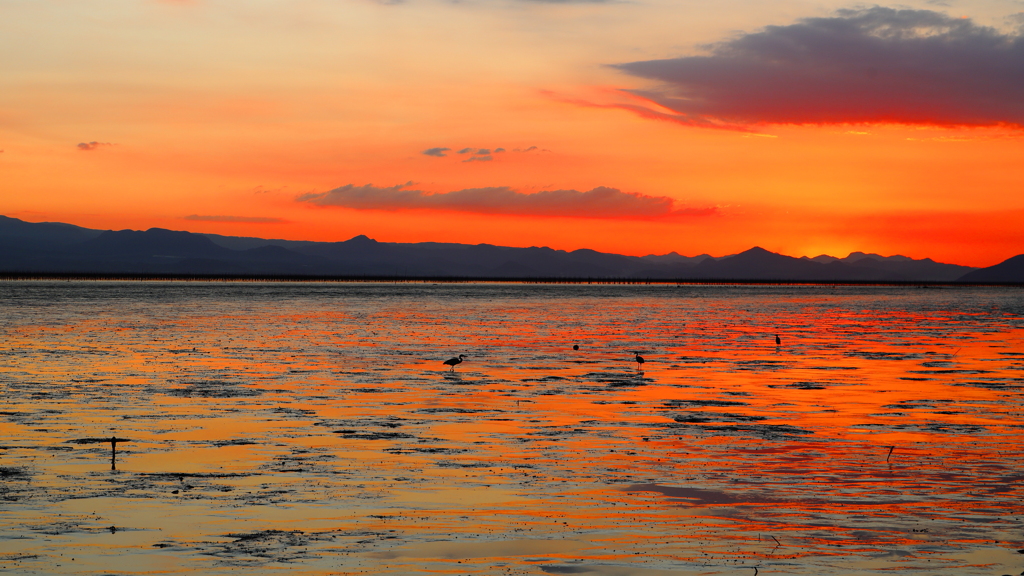 有明海の夕暮れ　その９