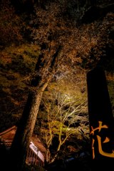 大興善寺のライトアップ　９