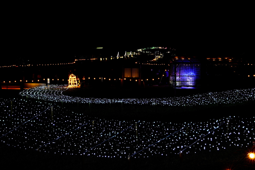 吉野ヶ里歴史公園　光の響　２０２１　その１６