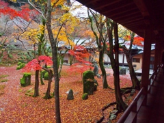 光明禅寺の紅葉