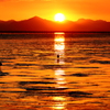 有明海の夕暮れ　その８
