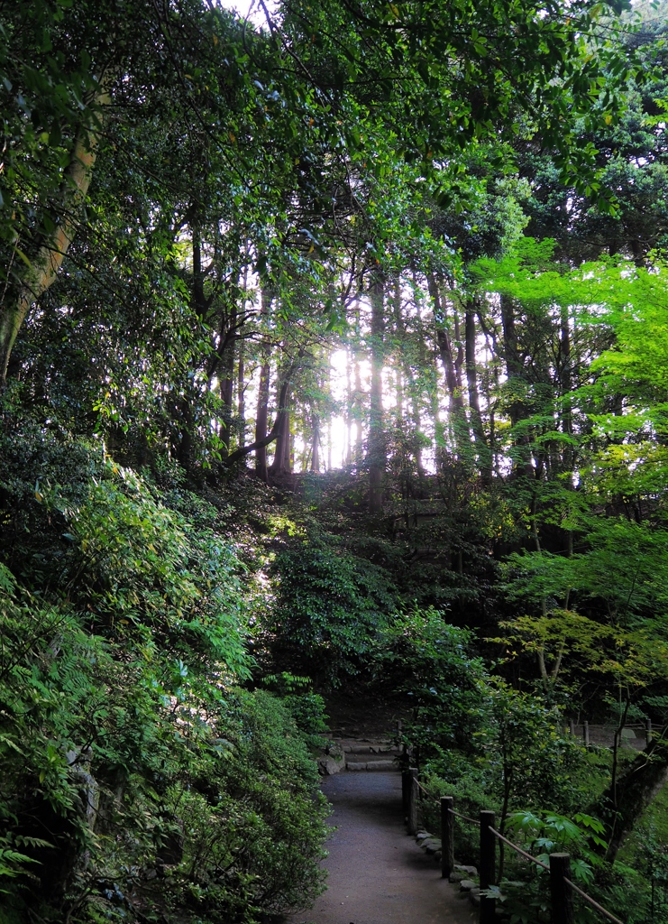 京都 南禅寺境内　４