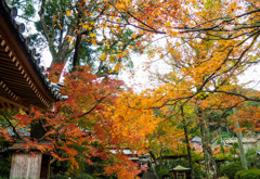 大興善寺　鐘と紅葉