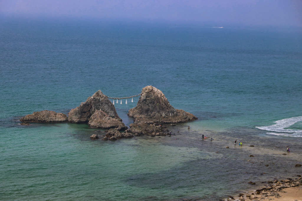 透き通っている