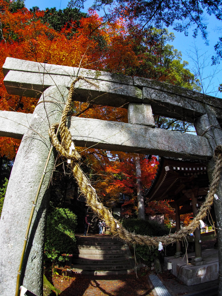 鳥居と紅葉