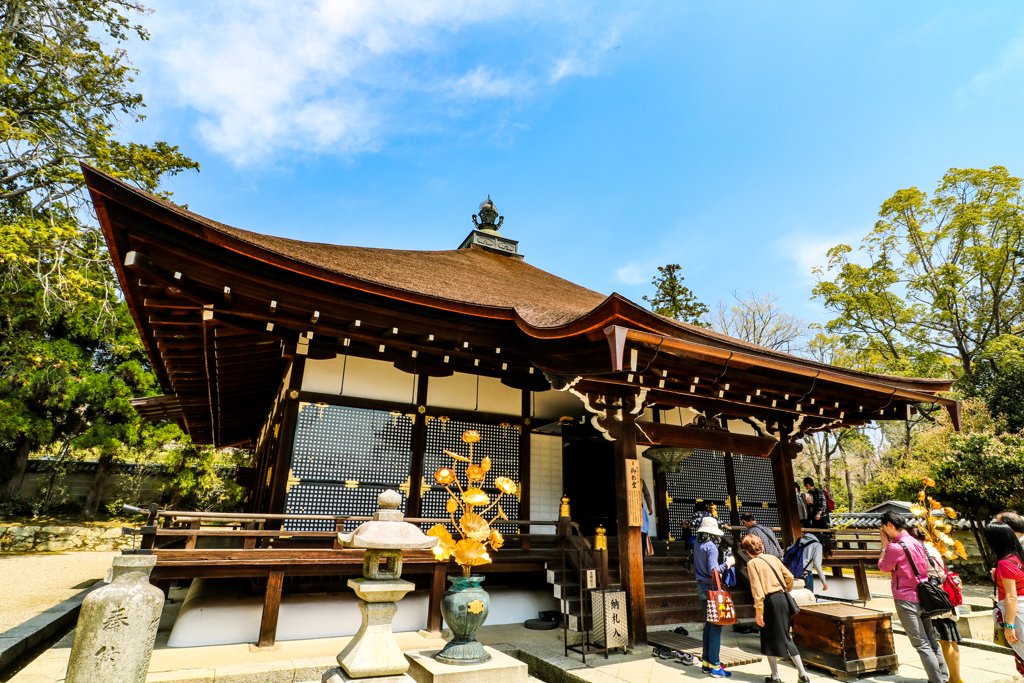 御室仁和寺御影堂