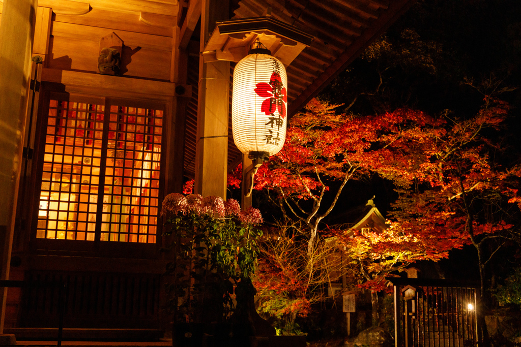 竈門神社の紅葉２０２２＃１０