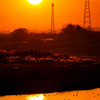 筑後川の夕陽３