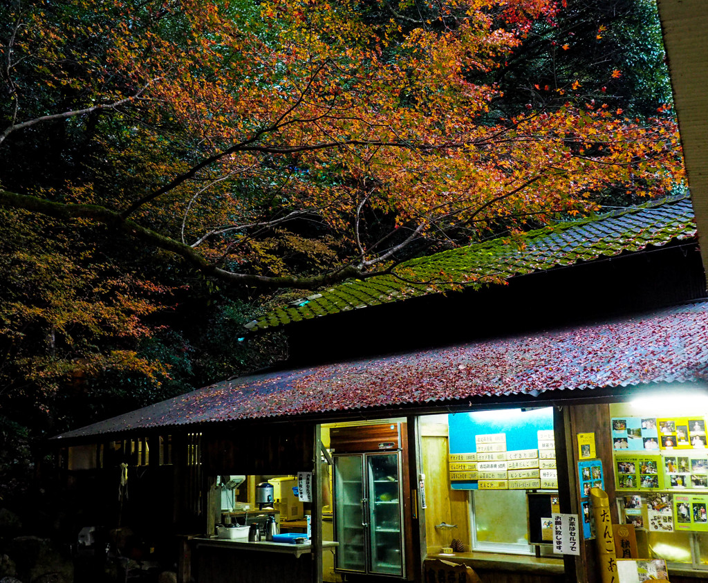 紅葉をつまみに