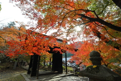 秋月の紅葉２０２１　その３