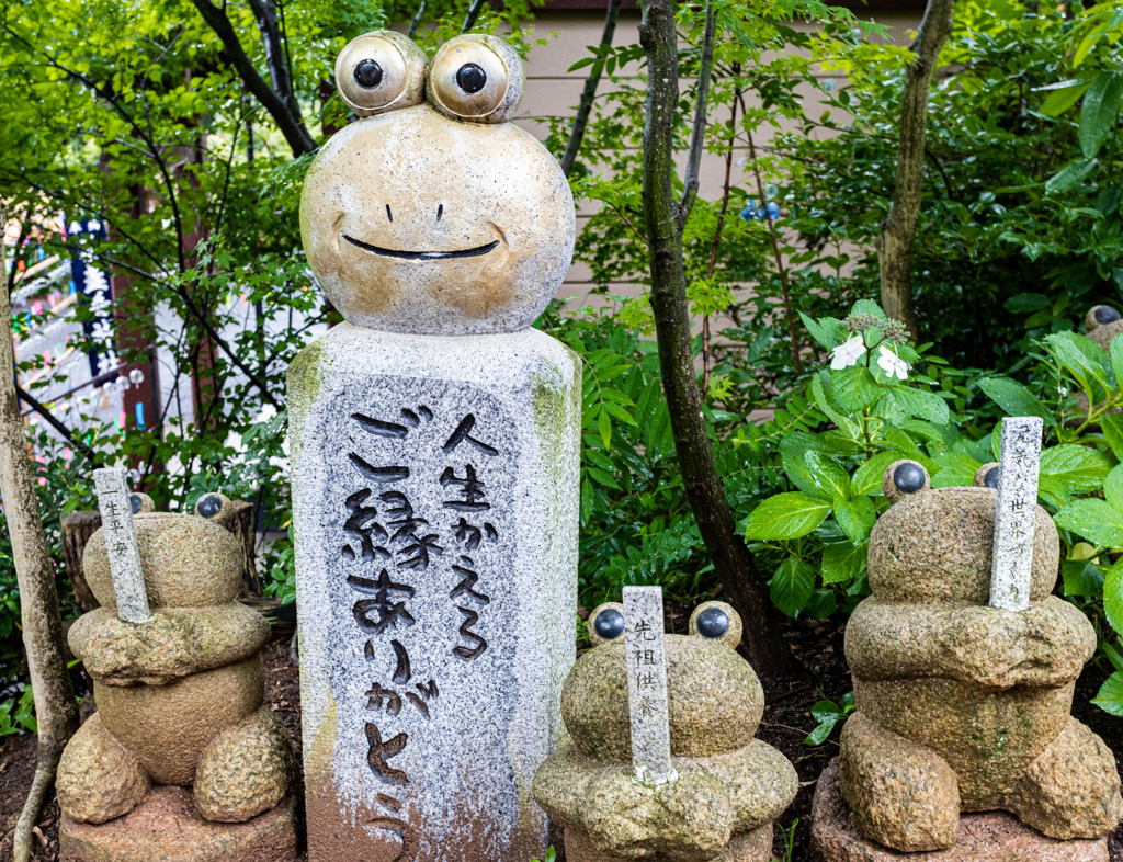 カエル寺　その１０