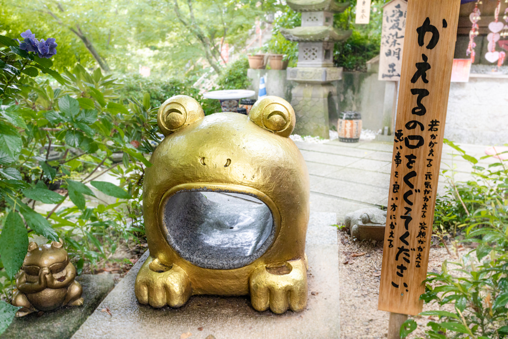 カエル寺　その４