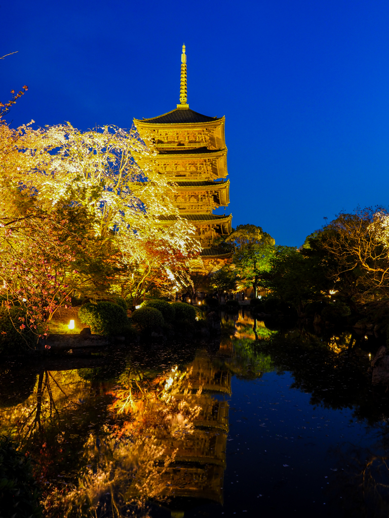 京都　東寺　ライトアップ　３