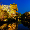 京都　東寺　ライトアップ　３
