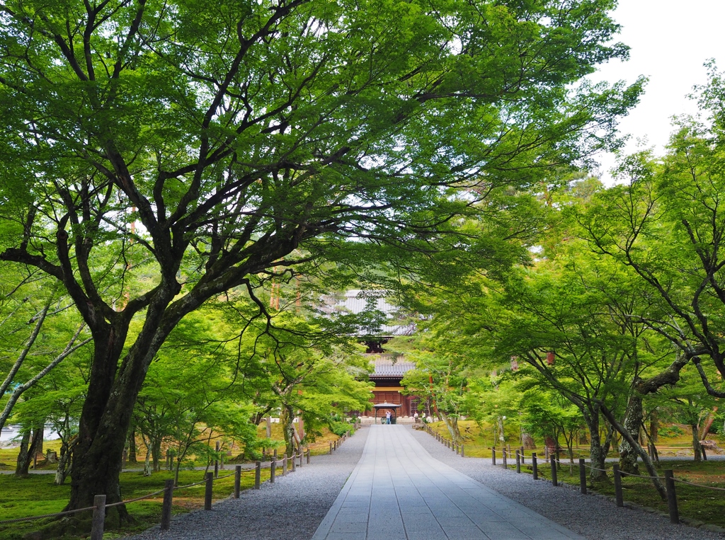 京都　南禅寺　境内　１２