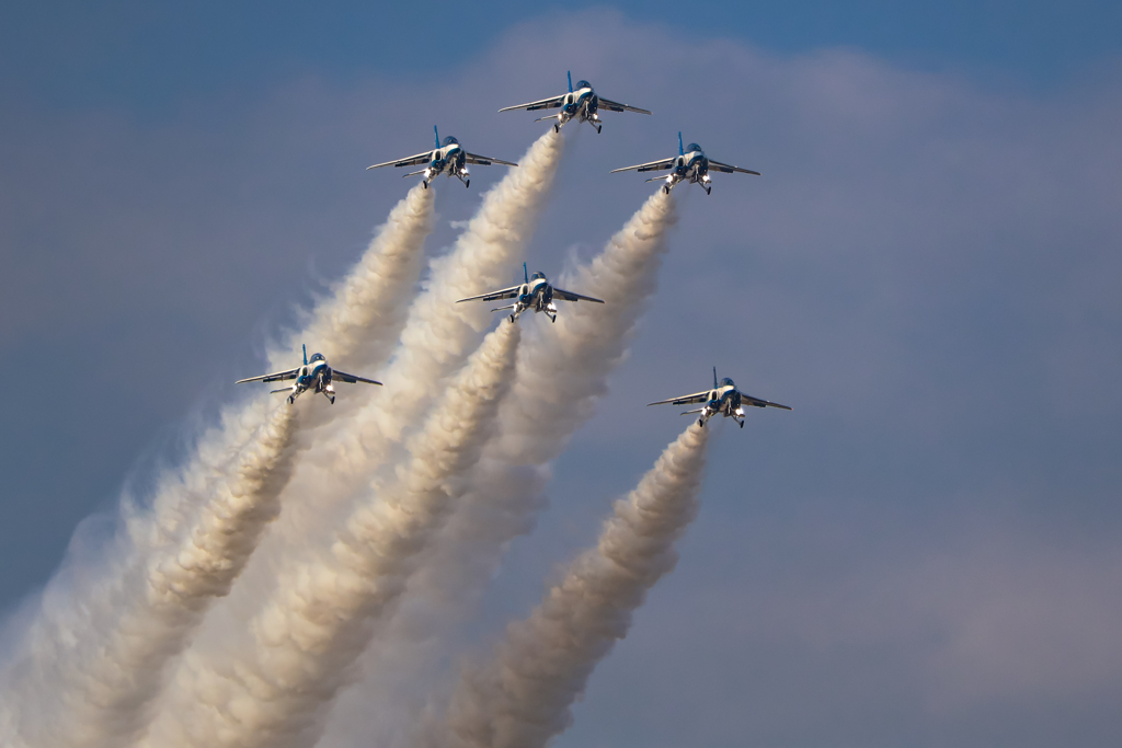 クリスマスツリー