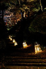 大興禅寺２０１８その３
