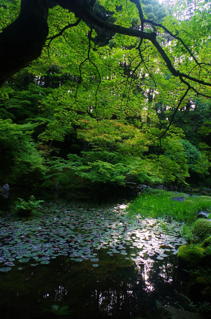 京都 南禅寺境内　２