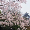 桜と岡山城