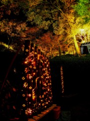 大興善寺のライトアップ　１０