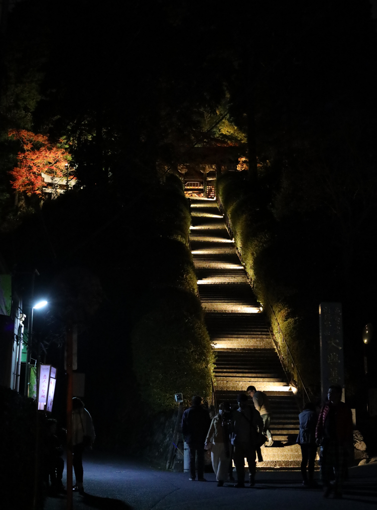 大興善寺の階段