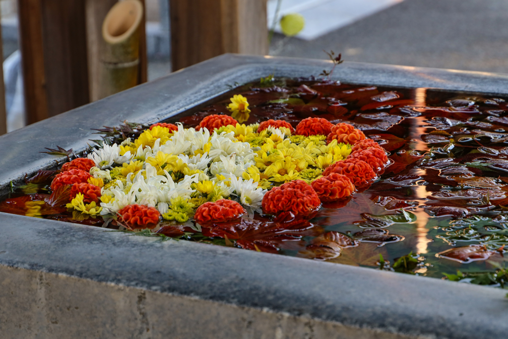 宮地嶽神社総本宮　その２