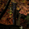 大興善寺の紅葉２０１９　その４