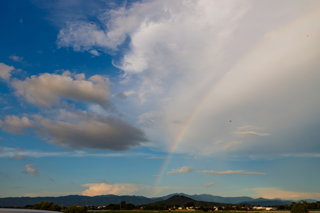 虹と青空とトンボ