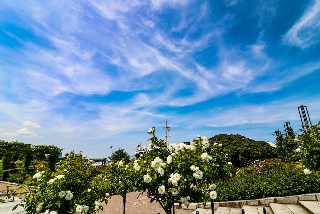 山下公園と空