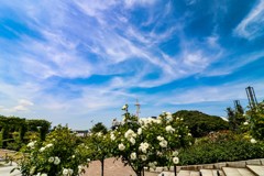 山下公園と空