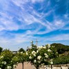 山下公園と空