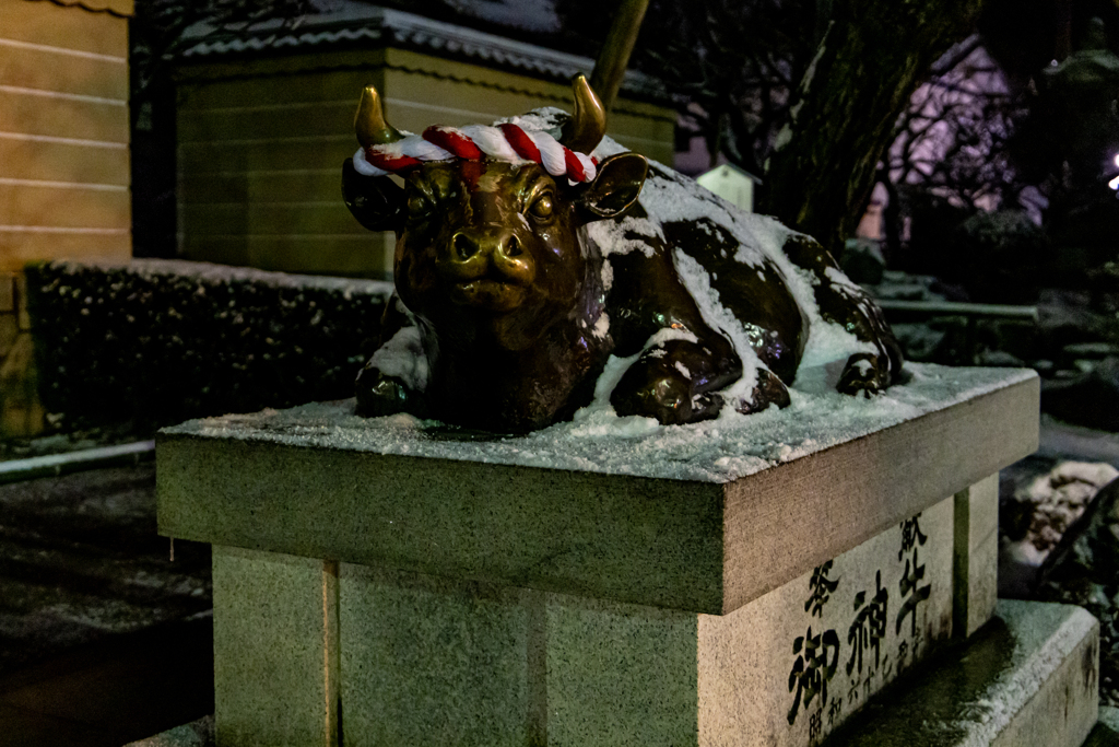 寒そう
