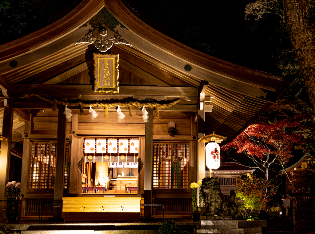 雨のライトアップの竈門神社の紅葉　その６