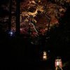 大興善寺の紅葉２０１９　その６