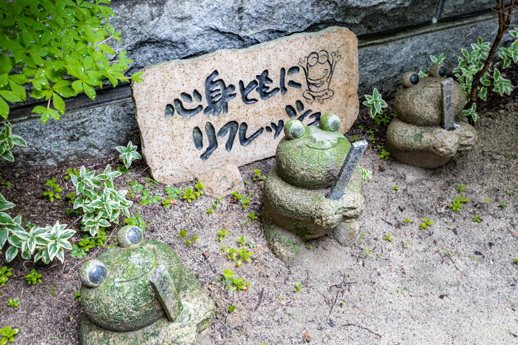 カエル寺　その１４