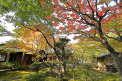 松風園の紅葉２