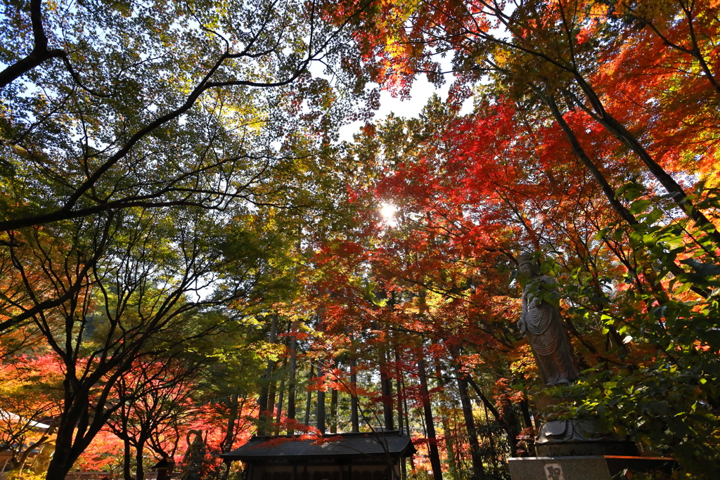 呑山観音寺　その７