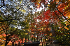 呑山観音寺　その７