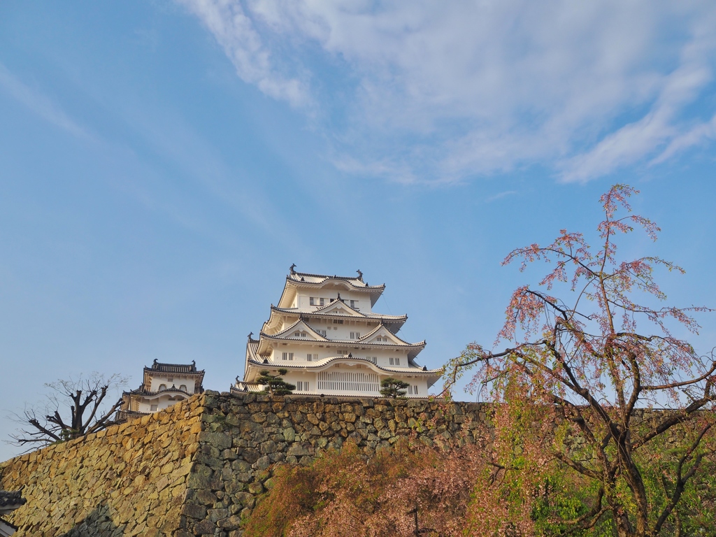 姫路城と雲と花と