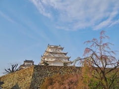 姫路城と雲と花と