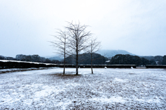 大宰政庁跡の降雪