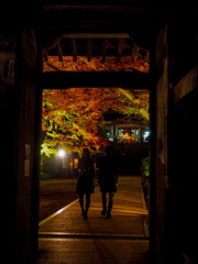 大興善寺　夜の門
