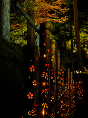 大興禅寺２０１８その５