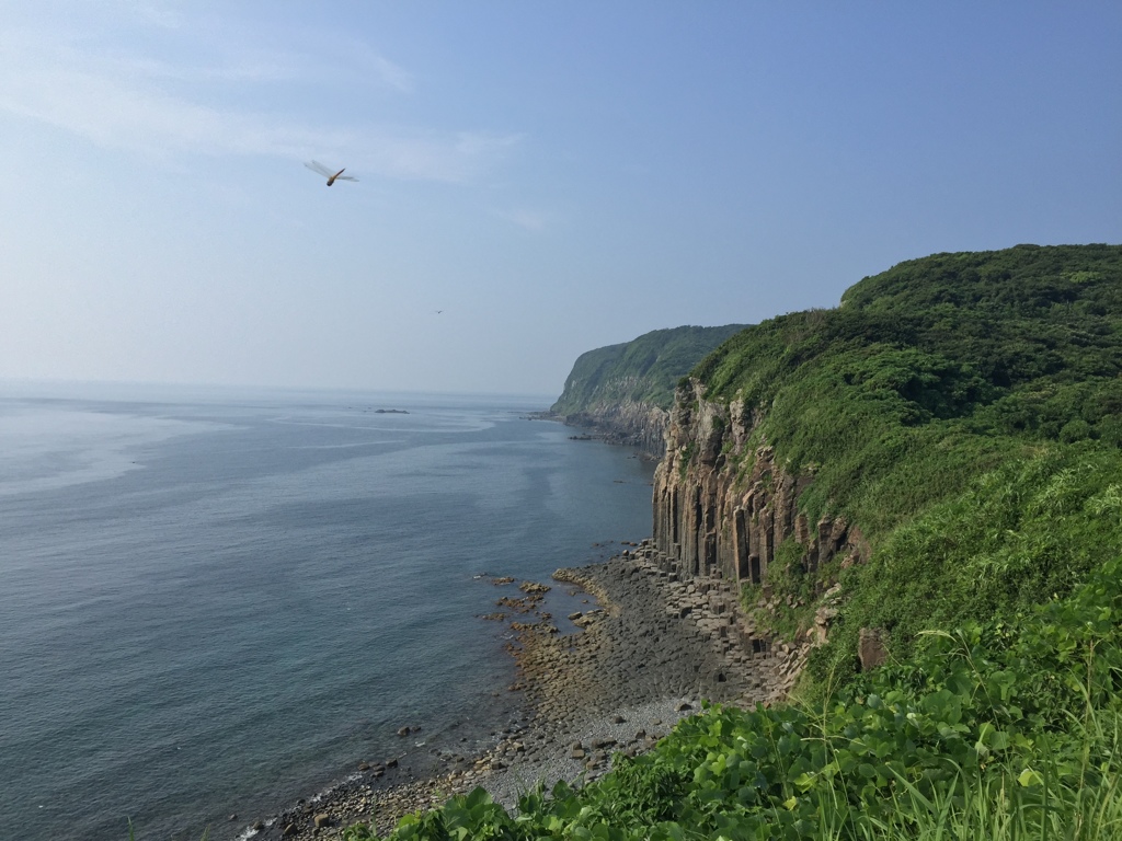 トンボも観光中