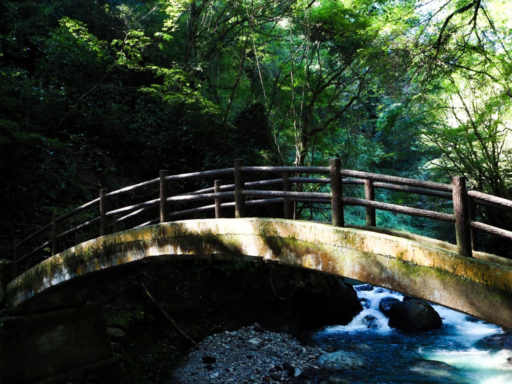 岩戸川の太鼓橋１