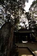 神社の森２